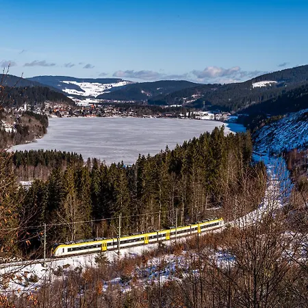 Apartamento 13 - Ferienresidenz Roseneck, Mit Schwimmbad In Bei Feldberg *