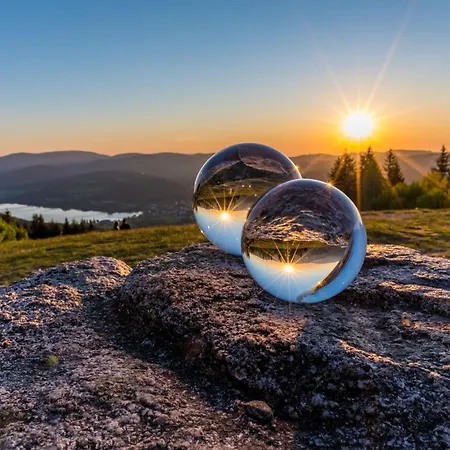 Apartamento 13 - Ferienresidenz Roseneck, Mit Schwimmbad In Bei Feldberg