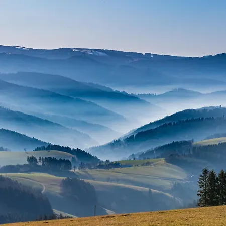 13 - Ferienresidenz Roseneck, Mit Schwimmbad In Bei Feldberg Todtnauberg