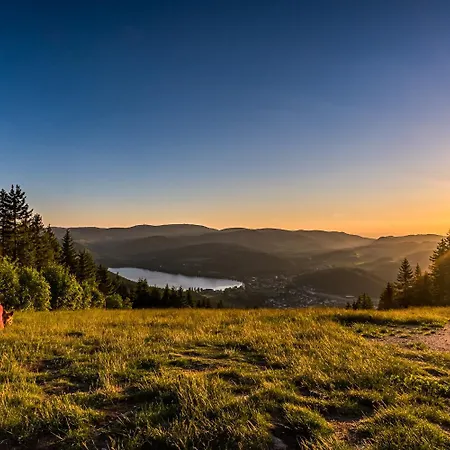 13 - Ferienresidenz Roseneck, Mit Schwimmbad In Bei Feldberg