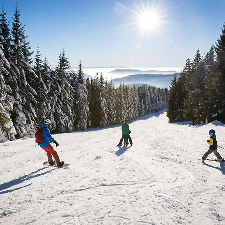 Apartamento 13 - Ferienresidenz Roseneck, Mit Schwimmbad In Bei Feldberg Todtnauberg