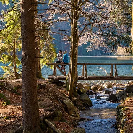 13 - Ferienresidenz Roseneck, Mit Schwimmbad In Bei Feldberg