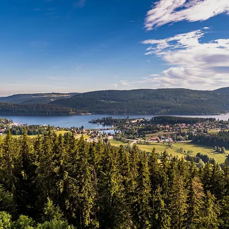 13 - Ferienresidenz Roseneck, Mit Schwimmbad In Bei Feldberg Todtnauberg