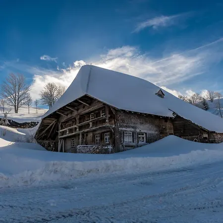 13 - Ferienresidenz Roseneck, Mit Schwimmbad In Bei Feldberg