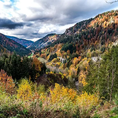 Apartamento 13 - Ferienresidenz Roseneck, Mit Schwimmbad In Bei Feldberg