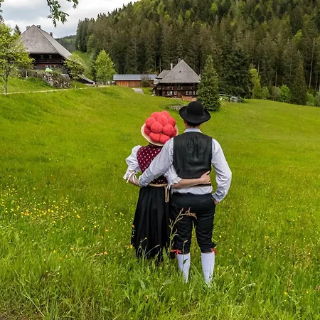 Apartamento 13 - Ferienresidenz Roseneck, Mit Schwimmbad In Bei Feldberg Todtnauberg