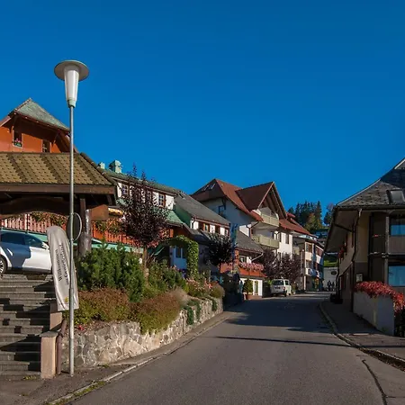 Apartamento 13 - Ferienresidenz Roseneck, Mit Schwimmbad In Bei Feldberg