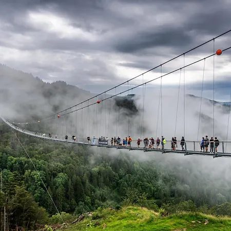 Apartamento 13 - Ferienresidenz Roseneck, Mit Schwimmbad In Bei Feldberg Todtnauberg